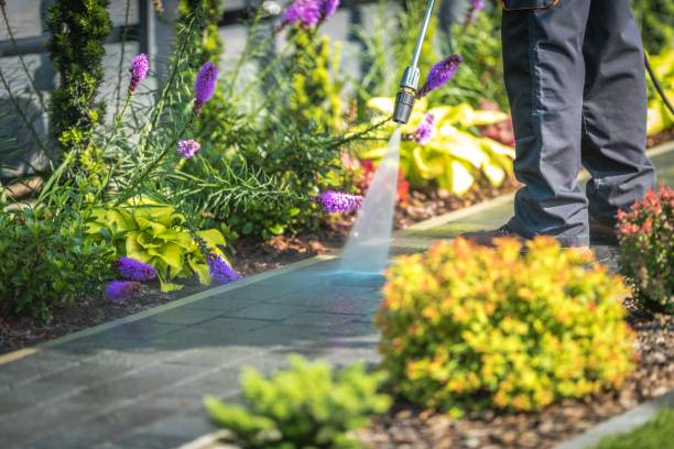  Port Jervis, NY Pressure Washing Pros